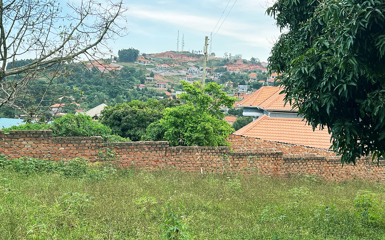 WhatsApp Image 2025-09-23 at 10.31.04.jpeg